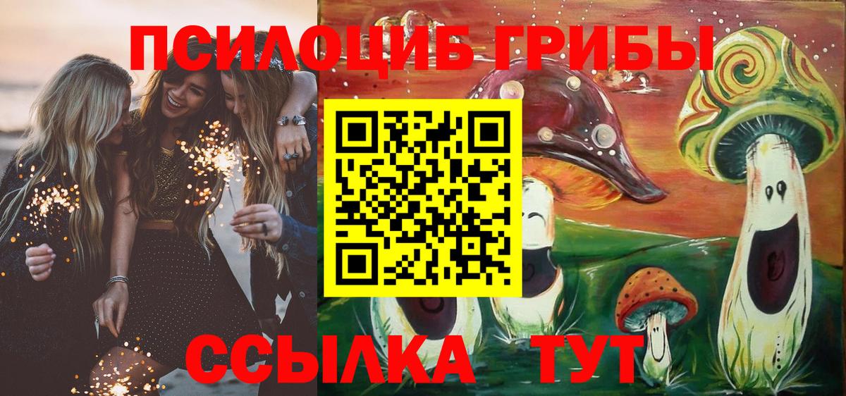 Псилоцибиновые грибы прущие грибы Бахчисарай